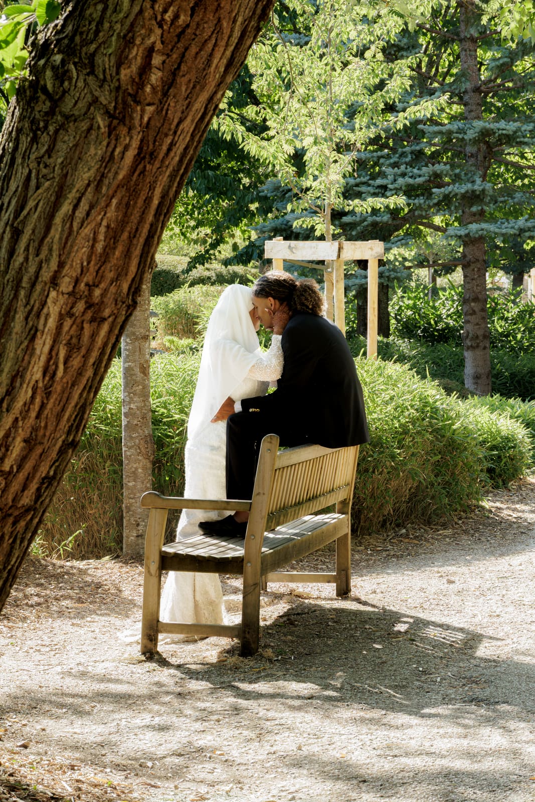 Un baiser sur un banc, à l'ombre des arbres